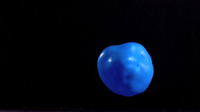 A blue water balloon is captured bouncing off a surface in slow motion against a solid black background. The visual emphasizes fluid dynamics and elasticity, showcasing the impact of motion. This high-speed sequences are useful for educational materials, physics demonstrations, or advertising products related to water activities and outdoor fun.