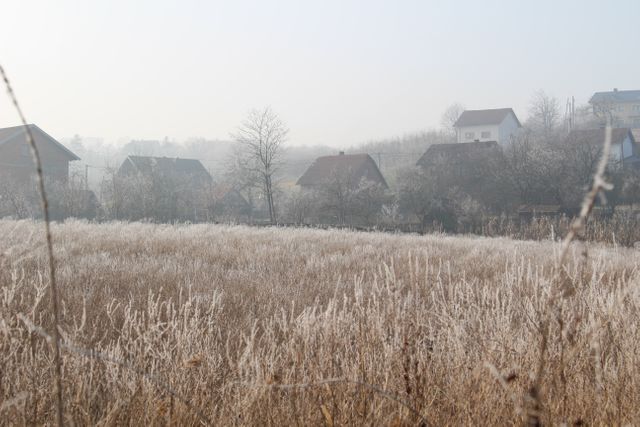 Peaceful winter morning with a foggy rural field covered in frost. Several houses are visible in the background, nestled among trees. Ideal for use in articles or advertisements about rural life, winter weather, tranquility, and scenic landscapes.