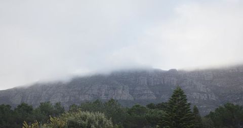 Misty mountain ridge with low cloud and evergreen treeline panorama