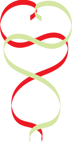 red and green ribbons abstract on transparent background - Download Free Stock Videos Pikwizard.com