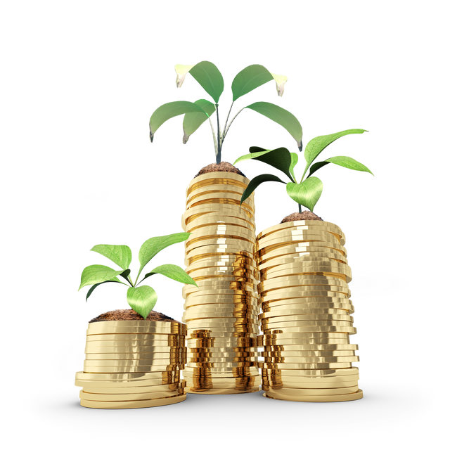 Transparent Growing Plants on Coins Representing Financial Growth - Download Free Stock Videos Pikwizard.com