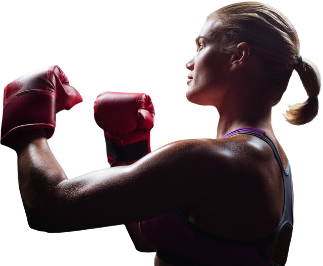 Side View of Transparent Female Boxer in Fighting Stance - Download Free Stock Videos Pikwizard.com