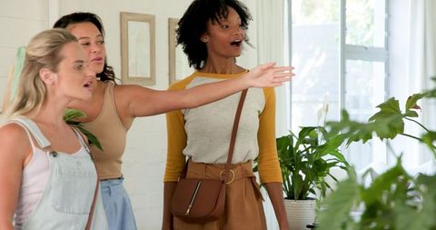 Diverse Women Admire Lush Greenery in Bright Sunlit Room
