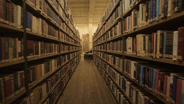 Serene Library Aisle with Person Reading Between Bookshelves