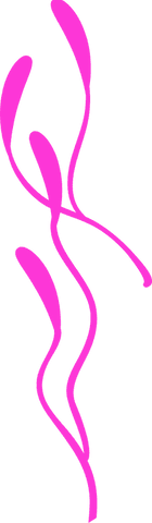abstract fuchsia lines on transparent background minimalist design - Download Free Stock Videos Pikwizard.com