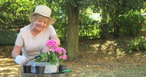 Senior Woman Joyfully Gardening with Pink Flowers