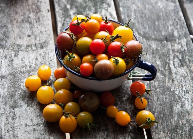 A blue ceramic bowl filled with colorful heirloom cherry tomatoes sitting on a worn wooden table, some tomatoes spread around the bowl. Ideal for use in articles about gardening, recipes, organic farming, and healthy eating. Can also be used in promotional materials for farmer's markets and fresh produce businesses.