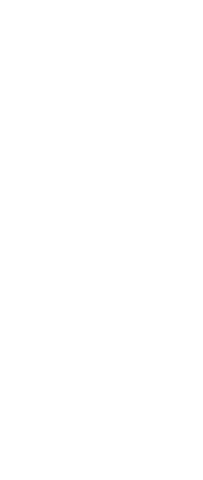 Businesswoman Silhouette on Transparent Background