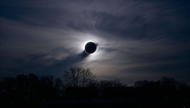 Revealing total solar eclipse corona over dusk field silhouetting lone bare tree
