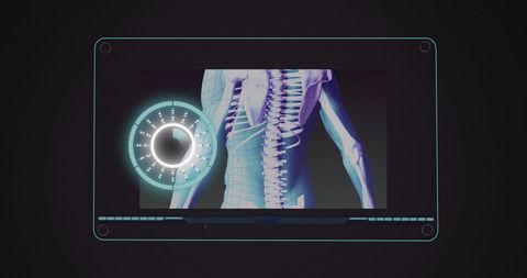 futuristic digital interface scanning human spine - Download Free Stock Images Pikwizard.com