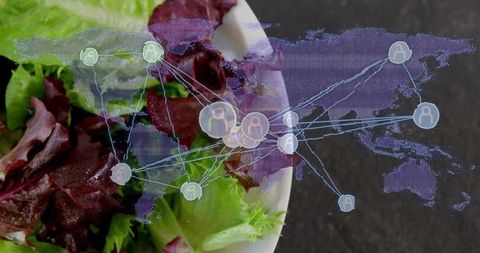 Global food supply network concept with fresh mixed salad bowl and digital hologram overlay