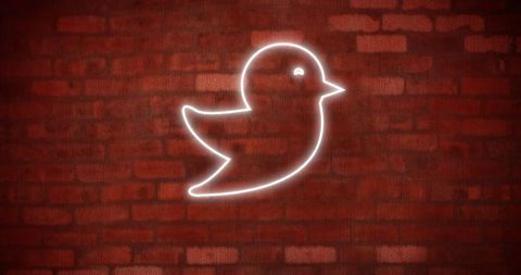 Glowing Bird Icon on Brick Wall Represents Social Media