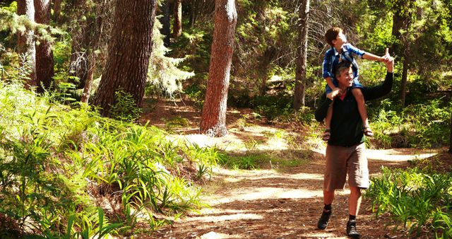 Father and Son Exploring Forest on a Sunny Day - Download Free Stock Images Pikwizard.com