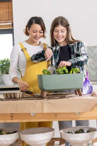 Diverse women planting herb seedlings in kitchen planter wearing overalls and smiling