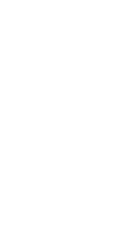Stylized Fern-Like Branch with Transparent Background Art - Download Free Stock Videos Pikwizard.com