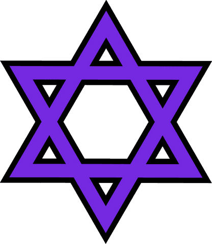 purple hexagram icon over transparent background - Download Free Stock Videos Pikwizard.com