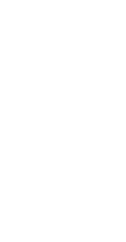Transparent Silhouette of Hand Holding Basketball Ball