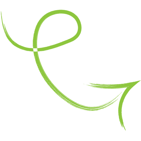 curved green arrow illustration on transparent background - Download Free Stock Videos Pikwizard.com