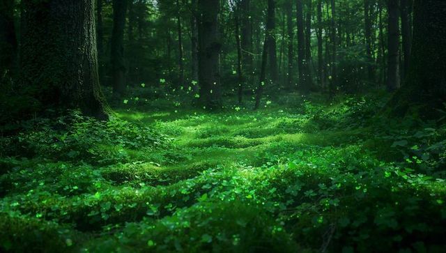 Glowing Mossy Forest Floor with Clover Forming Hummocks and Floating Light Specks