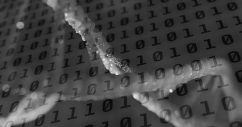 dna code and binary data integration concept - Download Free Stock Images Pikwizard.com