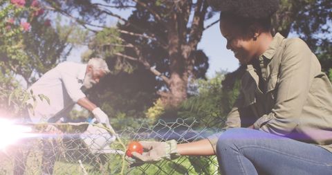 Father and Daughter Joyfully Tending Organic Garden