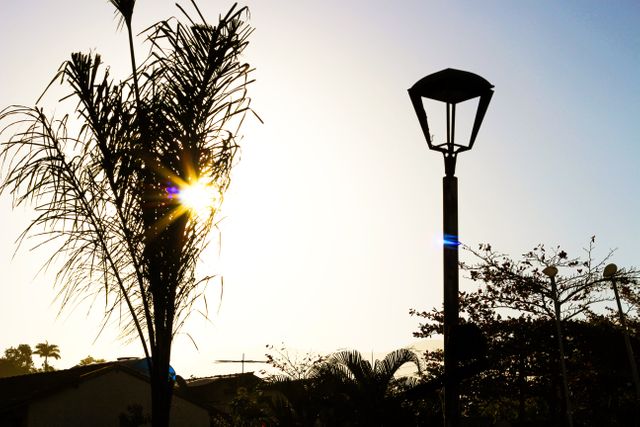 Shows a serene urban park with silhouette of a palm tree and a street lamp against a clear blue sky during sunset. Ideal for promoting tranquility and relaxation in urban settings, nature-themed presentations, or tropical destination advertisements. Emphasizes peaceful evening scenery and natural beauty of tropical landscapes.