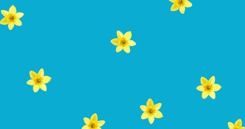 Yellow Daffodils on Vibrant Blue Background