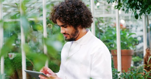 Scientist with curly hair using tablet while standing in greenhouse, conducting research among various plants. Ideal for illustrating botanical research, agricultural technology, scientific studies, and modern horticulture practices.
