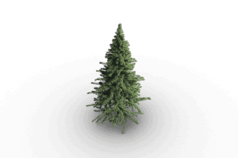 Christmas Tree on Transparent Background for Festive Designs - Download Free Stock Videos Pikwizard.com