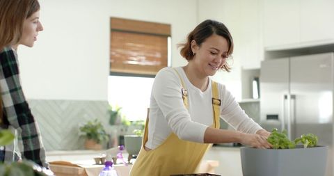 Multicultural friends tending indoor herb garden in bright modern kitchen workspace