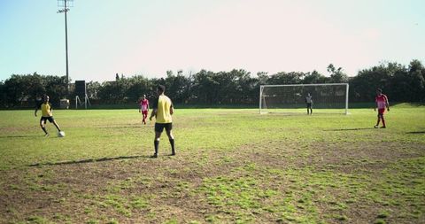 Soccer players competing on grass soccer field
