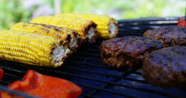 Capturing the essence of summer, this image shows grilled corn and burger patties on a BBQ grill in a well-lit backyard. Ideal for use in articles or advertisements related to outdoor cooking, summer gatherings, or BBQ recipe blogs. Perfect for promoting BBQ equipment, summer events, or culinary magazines focusing on outdoor grilling.