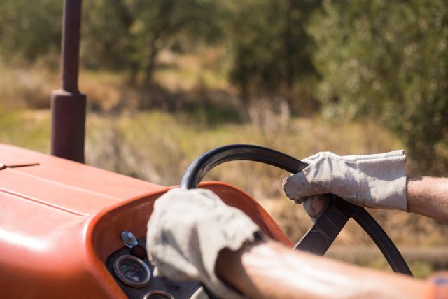 Close-up of man driving tractor in olive farm on a sunny day