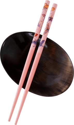 transparent pink chopsticks with mother of pearl bowl - Download Free Stock Videos Pikwizard.com