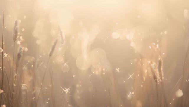 Shimmering Golden Meadow with Sunlit Tall Grass, Dew Sparkle and Ethereal Bokeh