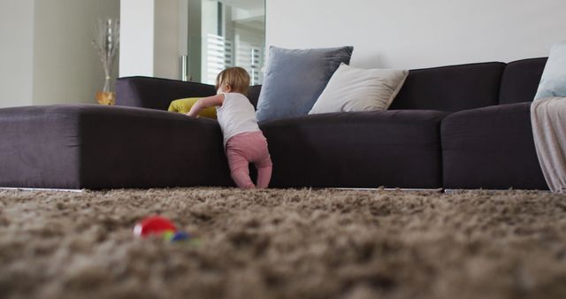 Toddler Exploring Comfortable Living Room on Soft Shag Rug - Download Free Stock Images Pikwizard.com