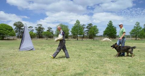 Canine training session in outdoor field with german shepherd