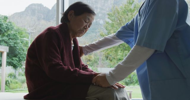 Healthcare Worker Supporting Elderly Woman Indoors - Download Free Stock Images Pikwizard.com