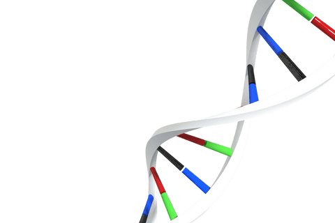 colorful dna helix on transparent background for biotechnology design - Download Free Stock Videos Pikwizard.com