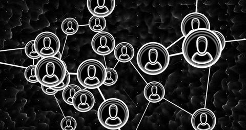 Abstract Digital Network with User Profiles in Connectivity Grid