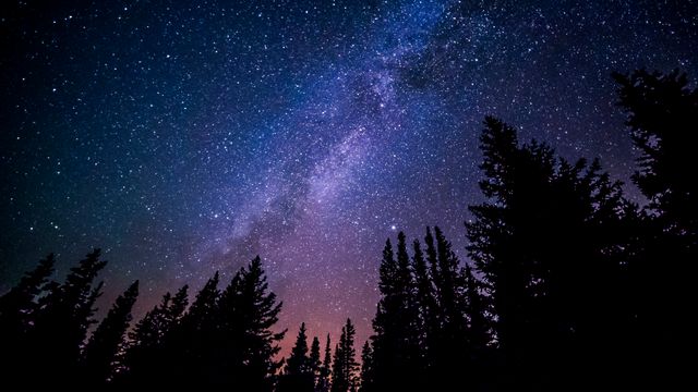 Milky Way Galaxy Over Forest Silhouette at Night - Download Free Stock Photos Pikwizard.com