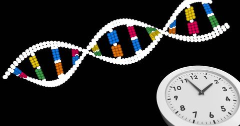 Conceptual dna strand with clock illustrating time and genetics