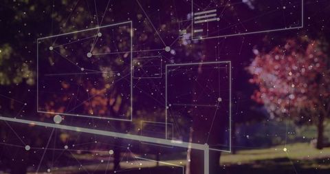 Digital Network Interface Overlaying Park Landscape