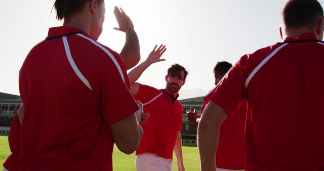 Rugby Team Celebrating Victory with High Fives on Field - Download Free Stock Images Pikwizard.com