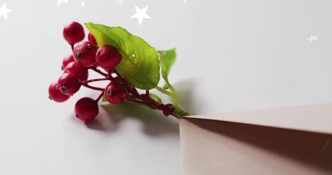 Red berry cluster emerging from beige envelope minimal holiday greeting concept