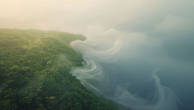 Tranquil dawn over misty shoreline with lush foliage