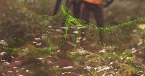 Neon green digital mesh weaves above forest trail