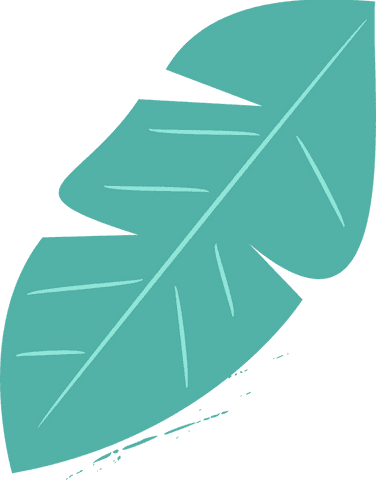 Tropical Leaf with Pale Green Veins on Transparent Background - Download Free Stock Videos Pikwizard.com