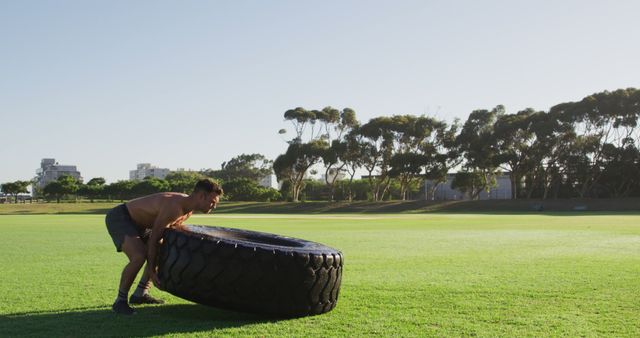 Athletic Man Flipping Large Tire in Outdoor Park - Download Free Stock Images Pikwizard.com