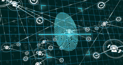 Biometric Fingerprint with Digital Connections Network
